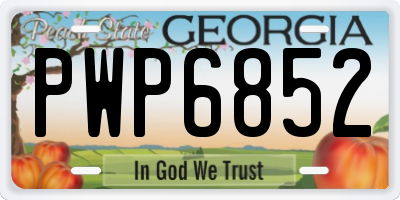 GA license plate PWP6852