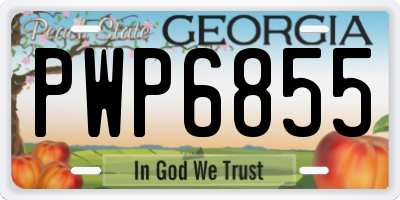 GA license plate PWP6855