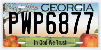 GA license plate PWP6877