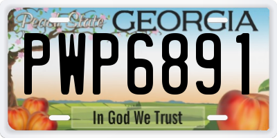 GA license plate PWP6891