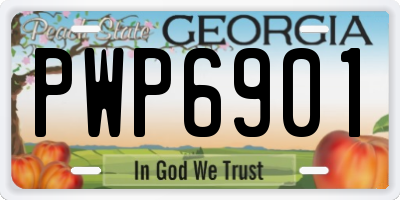 GA license plate PWP6901