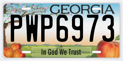 GA license plate PWP6973