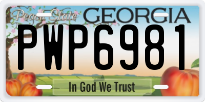 GA license plate PWP6981