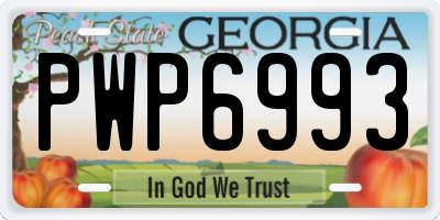 GA license plate PWP6993