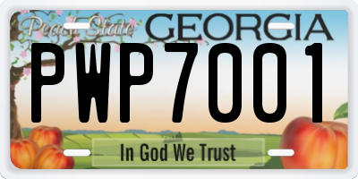 GA license plate PWP7001