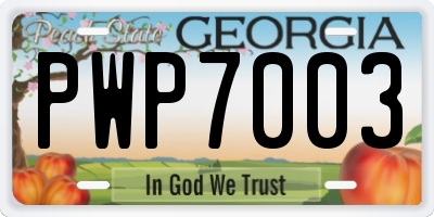 GA license plate PWP7003