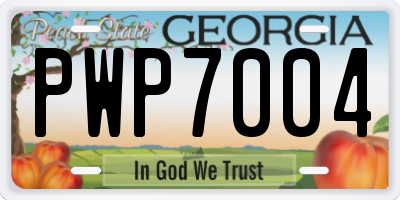 GA license plate PWP7004