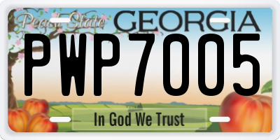 GA license plate PWP7005