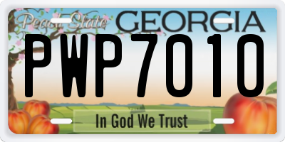 GA license plate PWP7010