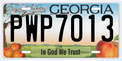 GA license plate PWP7013