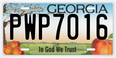 GA license plate PWP7016