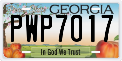 GA license plate PWP7017