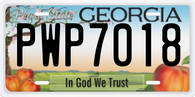 GA license plate PWP7018