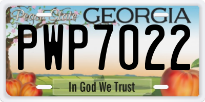 GA license plate PWP7022