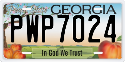 GA license plate PWP7024