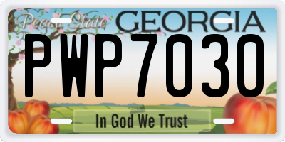 GA license plate PWP7030