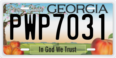 GA license plate PWP7031
