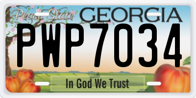 GA license plate PWP7034