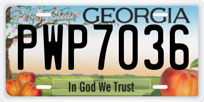 GA license plate PWP7036