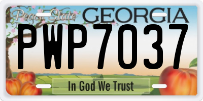GA license plate PWP7037