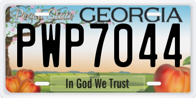 GA license plate PWP7044