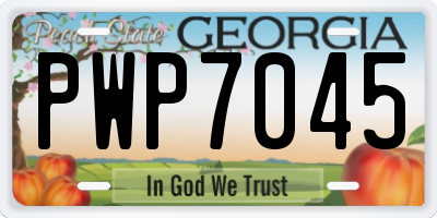GA license plate PWP7045