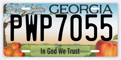GA license plate PWP7055