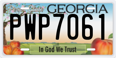 GA license plate PWP7061