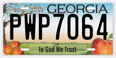 GA license plate PWP7064