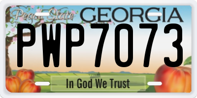 GA license plate PWP7073