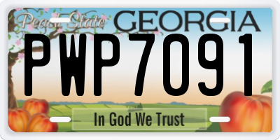 GA license plate PWP7091