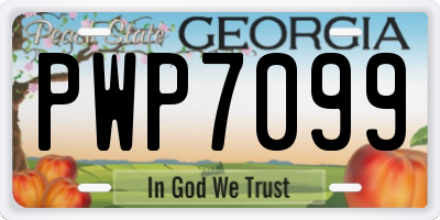 GA license plate PWP7099
