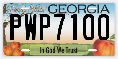 GA license plate PWP7100