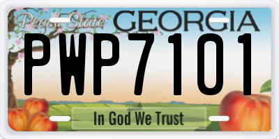 GA license plate PWP7101