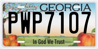 GA license plate PWP7107