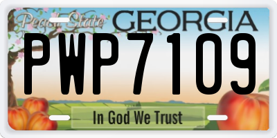 GA license plate PWP7109
