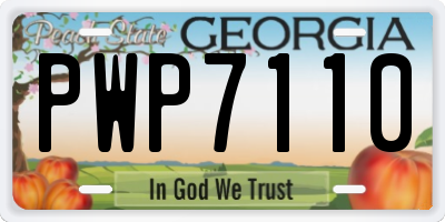 GA license plate PWP7110