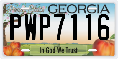 GA license plate PWP7116