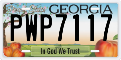 GA license plate PWP7117