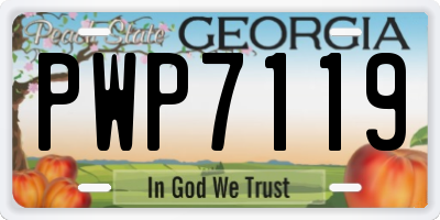 GA license plate PWP7119