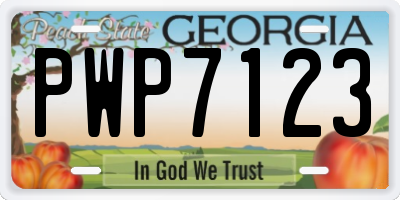 GA license plate PWP7123