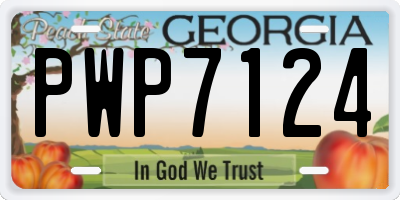 GA license plate PWP7124