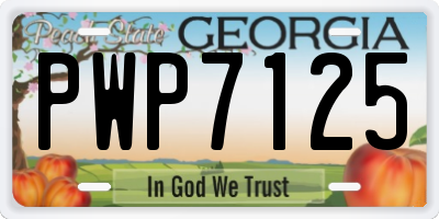 GA license plate PWP7125
