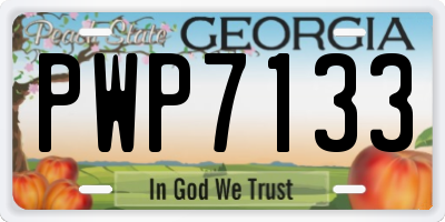 GA license plate PWP7133