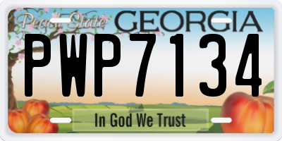 GA license plate PWP7134