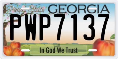 GA license plate PWP7137