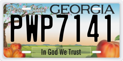 GA license plate PWP7141