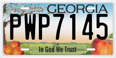 GA license plate PWP7145