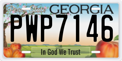 GA license plate PWP7146
