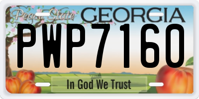 GA license plate PWP7160